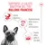 Royal Canin French Bulldog Paté