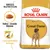 Royal Canin Adult Great Dane food with tailor-made kibble and concentrated energy, shown with product packaging and key features highlighted.