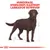 Royal Canin Labrador Retriever Adult Sterilised