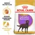 Royal Canin Sterilised Labrador Retriever. Speziell angepasste Krokette für kontrollierten Appetit. Breed Nutrition für sterilisierte Labradore.
