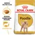 Royal Canin Adult Poodle. Speziell angepasste Krokette für schönes Fell. Breed Nutrition. Royal Canin Adult Poodle. Speziell angepasste Krokette für schönes Fell. Breed Nutrition.