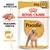 Royal Canin Adult Poodle -koiranruoka, 85 g x12. Tekstit: Breed Nutrition, Mukautettu rakenne, Turkin kunto. Kuvassa annos ruokaa ja villakoira. Royal Canin Adult Poodle -koiranruoka, 85 g x12. Tekstit: Breed Nutrition, Mukautettu rakenne, Turkin kunto. Kuvassa annos ruokaa ja villakoira.