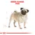 Royal Canin Pug Adult