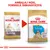 ROYAL CANIN Bulldog Junior ambalaj vechi și ROYAL CANIN Bulldog Puppy ambalaj nou. Text sus: AMBALAJ NOU, FORMULĂ ÎMBUNĂTĂȚITĂ. Imagine cu două pungi de hrană pentru câini Bulldog până la 12 luni.