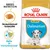 ROYAL CANIN PUPPY Dalmatian hundefoder, tekst: Breed Nutrition, Skræddersyet foderpille, Støtte til immunforsvaret. Billede af foderpille og dalmatinerhvalp på posen. ROYAL CANIN PUPPY Dalmatian hundefoder, tekst: Breed Nutrition, Skræddersyet foderpille, Støtte til immunforsvaret. Billede af foderpille og dalmatinerhvalp på posen.