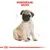 Royal Canin Pug Puppy