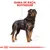 Gama de raça: Rottweiler. Ilustração de um cão Rottweiler com detalhes anatómicos desenhados ao fundo.