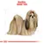 Illustrazione di cane Shih Tzu con scritta in alto: 'Razza: Shih Tzu'.