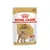 Royal Canin Adult Poodle Caniche/Barboncino 85 g, sobre de comida húmeda para perros, texto visible: Coat Health Salute del Pelo, imagen de croquetas y perro caniche.