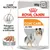 Royal Canin Coat Care All Sizes, 85 g x12. Patê para cães. Texto visível: Care Nutrition, Pelagem saudável e brilhante, PATÊ.
