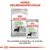 Royal Canin Digestive Care tørfoder MINI og vådfoder ALL SIZES til hunde. Tekst: Hunde ernæringsprogram. Den perfekte kombination af vores tør- og vådfoder.