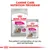 Royal Canin Exigent dry and wet food shown together. Text highlights canine care nutrition programme and the perfect combination of dry and wet formulas for fussy appetites.