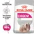 ROYAL CANIN EXIGENT MINI hundefoder. Tekst: Care Nutrition, Tilfredsstiller en kræsen hund, Dokumenteret effekt, Foretrækkes af op til 99 %. Billede af lille langhåret hund.