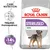 Royal Canin STERILISED MINI koiranruokapakkaus, teksti: ylläpitää ihannepainoa, tutkitut tulokset -14 % kaloreita, pieni koira kuvassa. Royal Canin STERILISED MINI koiranruokapakkaus, teksti: ylläpitää ihannepainoa, tutkitut tulokset -14 % kaloreita, pieni koira kuvassa.