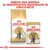 ROYAL CANIN British Shorthair Adult, sacco e bustina visibili. Testo in alto: Abbina una bustina al quantitativo quotidiano di crocchette.