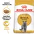 Royal Canin Adult British Shorthair kattenvoer, afbeelding van grijze kat, tekst: Specifiek afgestemde brokken, Sterke spieren, BREED NUTRITION. Royal Canin Adult British Shorthair kattenvoer, afbeelding van grijze kat, tekst: Specifiek afgestemde brokken, Sterke spieren, BREED NUTRITION.