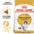 Royal Canin Adult Norwegian Forest Cat, crocchetta su misura, salute della pelle e del pelo. Immagine di un gatto norvegese e della forma della crocchetta. Royal Canin Adult Norwegian Forest Cat, crocchetta su misura, salute della pelle e del pelo. Immagine di un gatto norvegese e della forma della crocchetta.