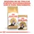 Royal Canin Persian Adult сухой корм и пауч. Дополните ежедневную порцию сухого корма паучем. На упаковке изображена персидская кошка.