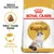 Breed nutrition with tailor-made kibble and healthy skin and coat benefits. Product labelled as Royal Canin Adult Ragdoll.
