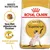 Royal Canin Adult Siamese kattenvoer, tekst: Specifiek afgestemde brokken, Soepel gespierd lichaam, afbeelding van een Siamese kat en een brok. Royal Canin Adult Siamese kattenvoer, tekst: Specifiek afgestemde brokken, Soepel gespierd lichaam, afbeelding van een Siamese kat en een brok.