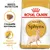 Sachet Royal Canin Adult Sphynx, croquette sur-mesure, apport énergétique élevé, illustration d’un chat Sphynx et croquette visible. Texte en anglais : Breed Nutrition.