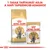 Royal Canin Adult British Shorthair macskaeledel csomagolás és tasak, 85 g. Felirat: 1 tasak tartalmát adja a napi tápszemcse-adaghoz.