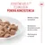 Royal Canin Appetite Control Care AirLift Mousse Royal Canin Appetite Control Care AirLift Mousse