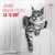 Royal Canin Digestive Care AirLift Mousse Royal Canin Digestive Care AirLift Mousse