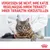 Vergessen Sie nicht, Ihre Katze regelmässig Ihrem Tierarzt oder Ihrer Tierärztin vorzustellen. Bild zeigt eine Katze auf einem Untersuchungstisch mit einem Tierarzt im Hintergrund.