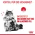 Vorteil für die Gesundheit: Unterstützt eine gesunde Haut und ein glänzendes Fell. Bild einer Katze mit Royal Canin Logo.