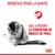 BÉNÉFICE POUR LA SANTÉ. AIDE À RÉDUIRE LA FORMATION DE BOULES DE POILS. Image d’un chat et logo Royal Canin visibles.