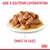 Assiette d’émincé en sauce, texte visible : « Aide à soutenir l’hydratation » et « Émincé en sauce », logo Royal Canin en bas à droite.