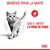 BÉNÉFICE POUR LA SANTÉ. Aide à limiter la prise de poids. Icône Kcal. Texte en français, image d’un chat et logo Royal Canin visibles.