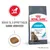 Royal Canin Urinary Care Royal Canin Urinary Care