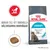 ROYAL CANIN URINARY kattfoder, text: Bidrar till att bibehålla hälsosamma urinvägar. Supports a healthy urinary tract in 10 days*. Bild på foderbit och katt. ROYAL CANIN URINARY kattfoder, text: Bidrar till att bibehålla hälsosamma urinvägar. Supports a healthy urinary tract in 10 days*. Bild på foderbit och katt.