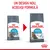 Royal Canin Care Urinary pentru pisici, imagine cu vechiul și noul ambalaj. Text: Un design nou, aceeași formulă.