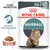 ROYAL CANIN HAIRBALL, 85g x12, šťáva, Kontrola trichobezoárů, CARE NUTRITION, balení s obrázkem dlouhosrsté kočky a porcí krmiva ve šťávě. ROYAL CANIN HAIRBALL, 85g x12, šťáva, Kontrola trichobezoárů, CARE NUTRITION, balení s obrázkem dlouhosrsté kočky a porcí krmiva ve šťávě.