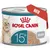 ROYAL CANIN 15+ Mousse, pločevinka z motivom mačke in rdečim napisom NOVO ROYAL CANIN 15+ Mousse, pločevinka z motivom mačke in rdečim napisom NOVO