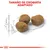 Tres croquetas de pienso con texto 'Tamaño de croqueta adaptado' y escala que indica 1 cm de longitud.