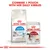 ROYAL CANIN Home Life Indoor Appetite Control dry food bag and ROYAL CANIN Instinctive Adult Cat 85g pouch. Text above: Combine 1 pouch with her daily kibbles.