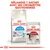 Mélangez 1 sachet avec ses croquettes quotidiennes. Paquet Royal Canin Home Life Indoor Appetite Control et sachet Royal Canin Instinctive 85 g visibles.