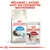 Mélangez 1 sachet avec ses croquettes quotidiennes. Paquet Royal Canin Home Life Indoor Long Hair et sachet Royal Canin Instinctive 85 g visibles.