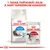 1 tasak tartalmát adja a napi tápszemcse-adaghoz. Royal Canin Home Life Indoor Long Hair száraz táp és Royal Canin Instinctive 85 g nedves eledel csomagolása macskával.