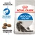 Royal Canin Indoor Long Hair kattenvoer, tekst: Health Nutrition, Vermindert haarballen, Aangepaste brokgrootte. Afbeelding van langharige kat en brokjes zichtbaar. Royal Canin Indoor Long Hair kattenvoer, tekst: Health Nutrition, Vermindert haarballen, Aangepaste brokgrootte. Afbeelding van langharige kat en brokjes zichtbaar.