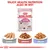 Royal Canin Kitten wet food shown in three textures: loaf, gravy, and jelly. Text reads 'Enjoy health nutrition also in wet.' Suitable for kittens up to 12 months old.