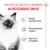 Royal Canin Kitten