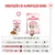 Royal Canin Kitten em molho