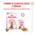 Royal Canin Sterilized Kitten em geleia