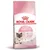 ROYAL CANIN Mother & Babycat 1–4 kk, emon ja kissanpennun terveyden tukeminen, vahva immuunijärjestelmä, kissan ja kissanpennun kuvat pakkauksessa.