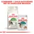 Royal Canin Active Life Outdoor 7+ droogvoer en Instinctive 7+ natvoeding voor katten. Tekst: Combineer 1 zakje natvoeding met de dagelijkse brokken.